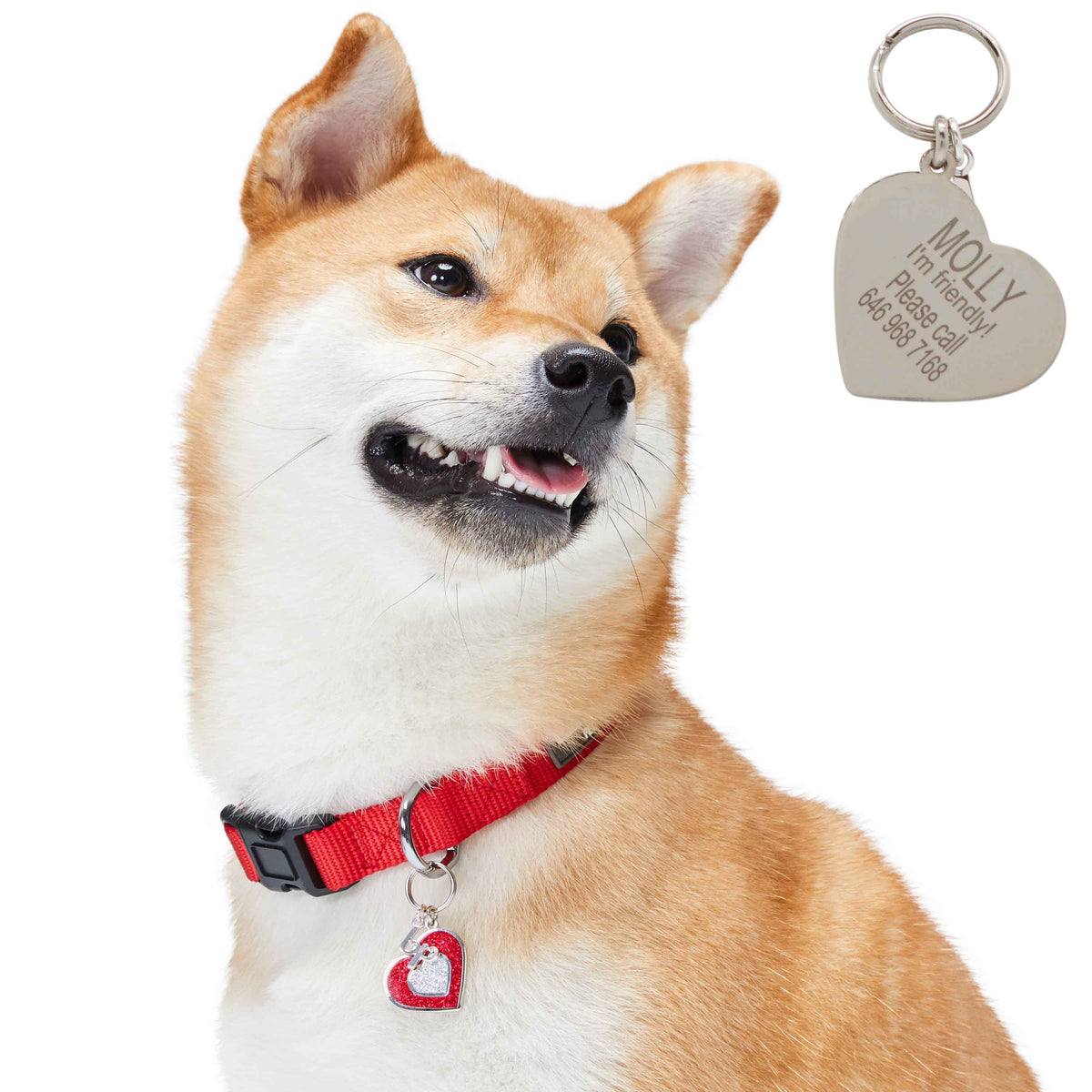 Dog Tag Tags Id Dogs Collar Holder Clip Pet For Engraved Name Ring