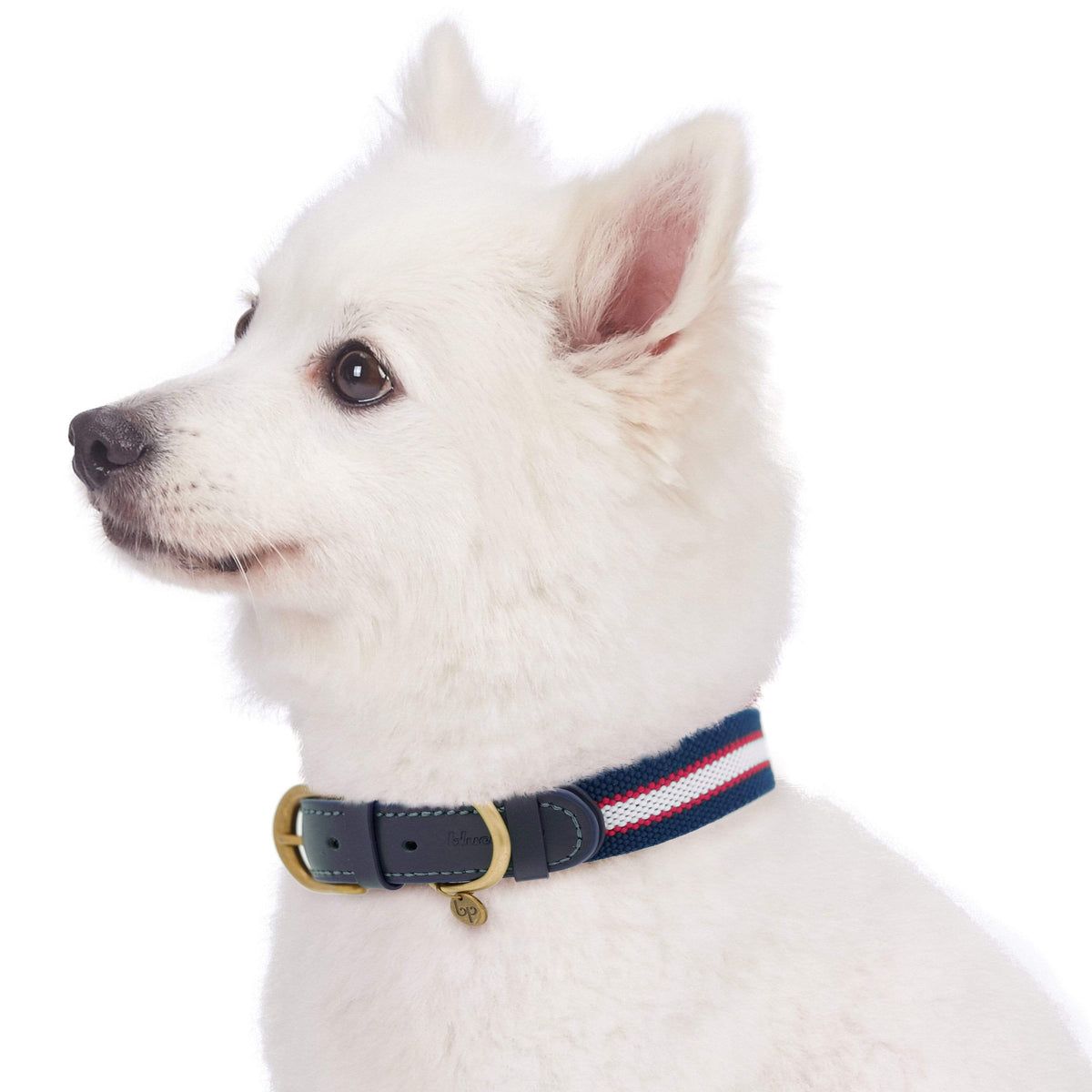 Plaid Dog Collar, Black & Taupe / Large