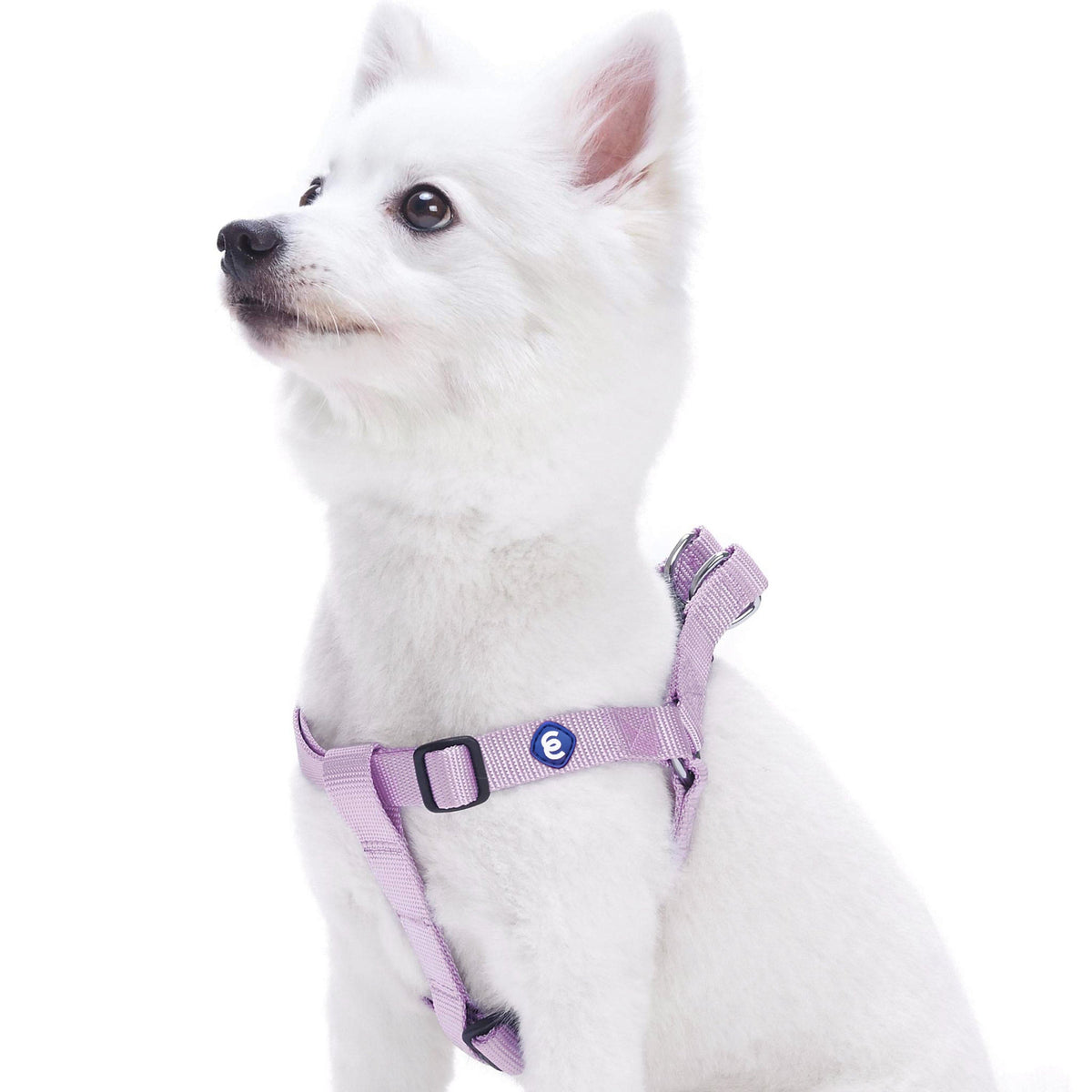 Step in Dog Harness Durable Nylon Adjustable Solid Color Harness for Puppy Small Medium Large Boy Girl Pets Blueberry Pet