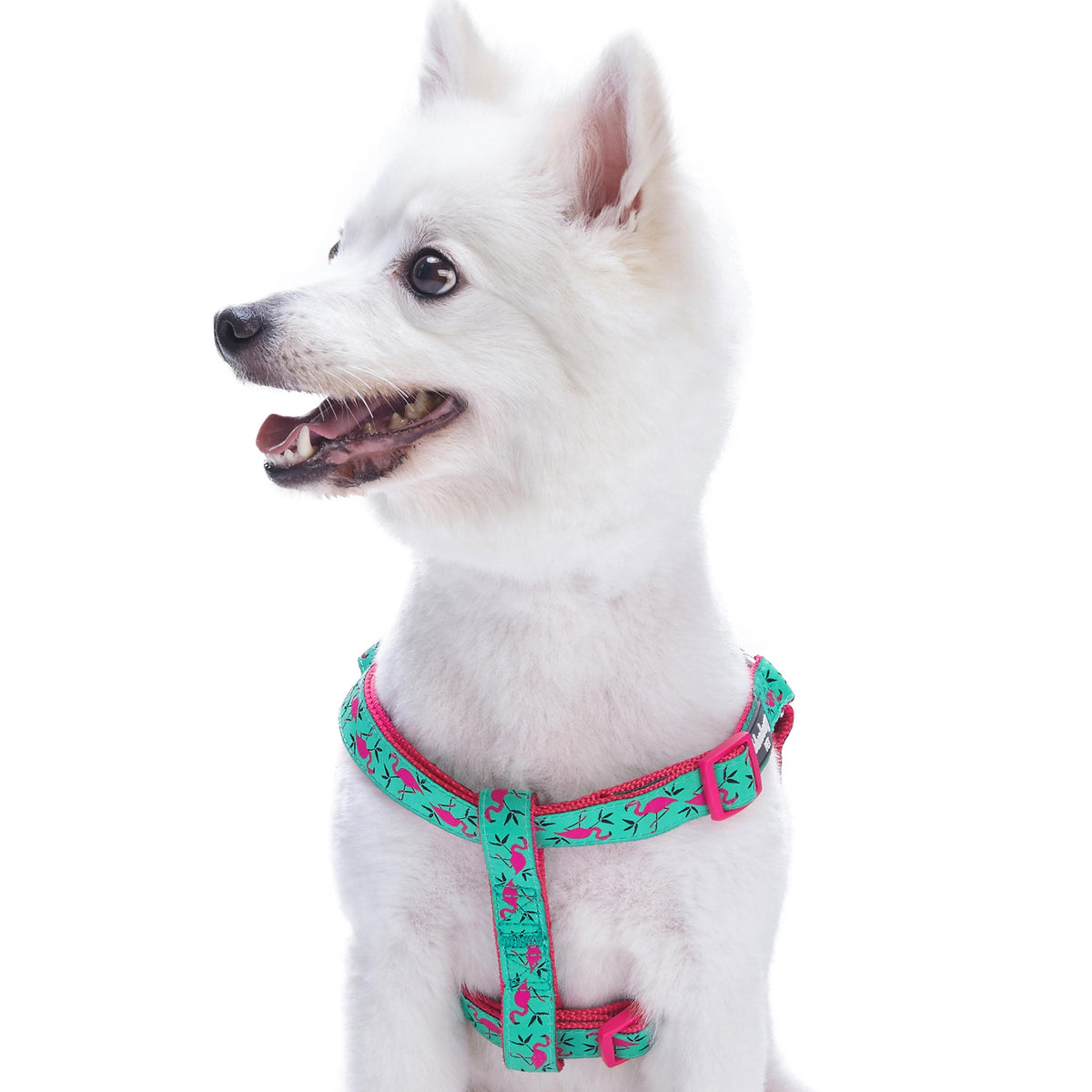 Flamingo Ladybug Dog Harness Summer Vcation Hawaiian Plam Leaves Harn Blueberry Pet