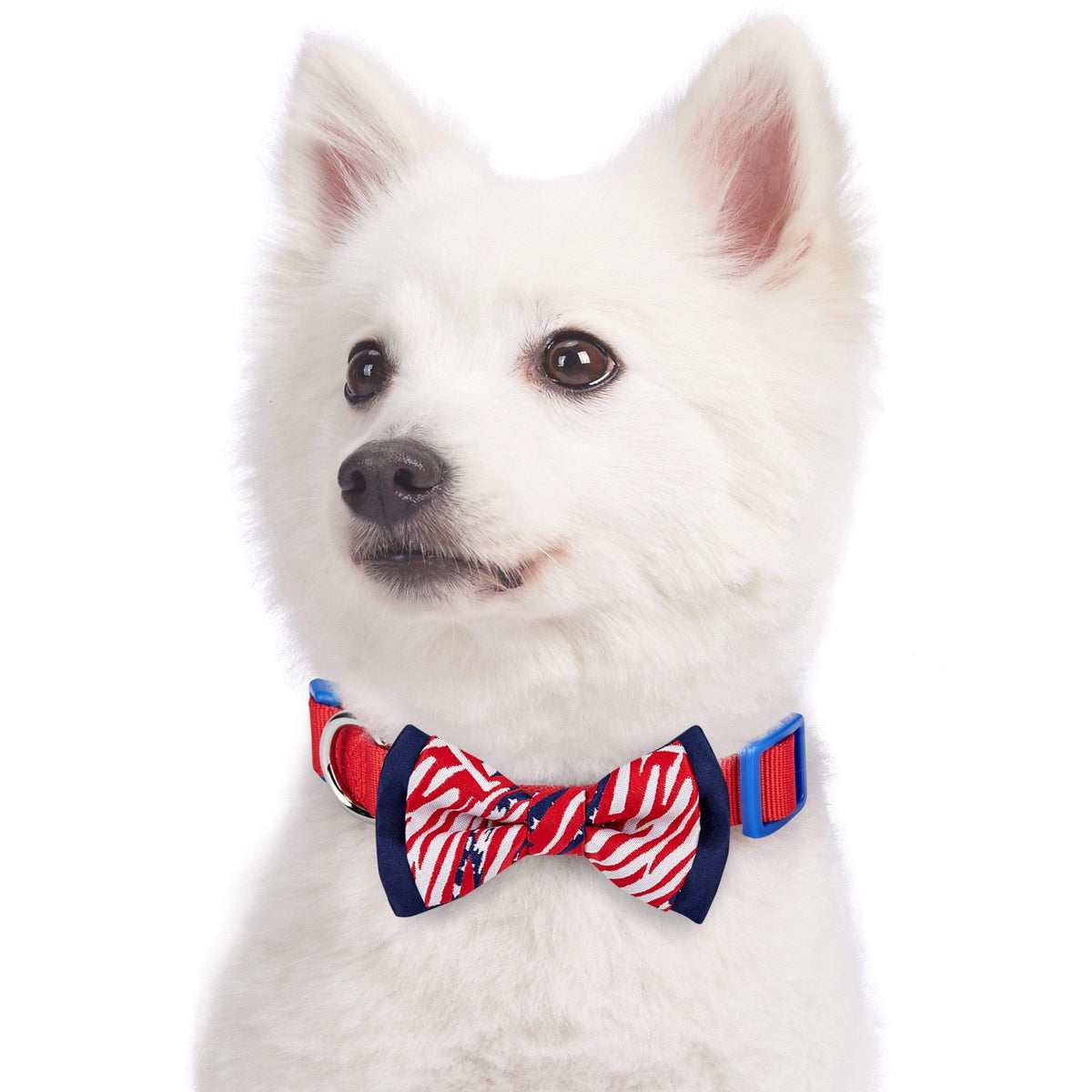 Red Blue Pumpkin Pattern Dog Collar With Bowtie, Adjustable Girl