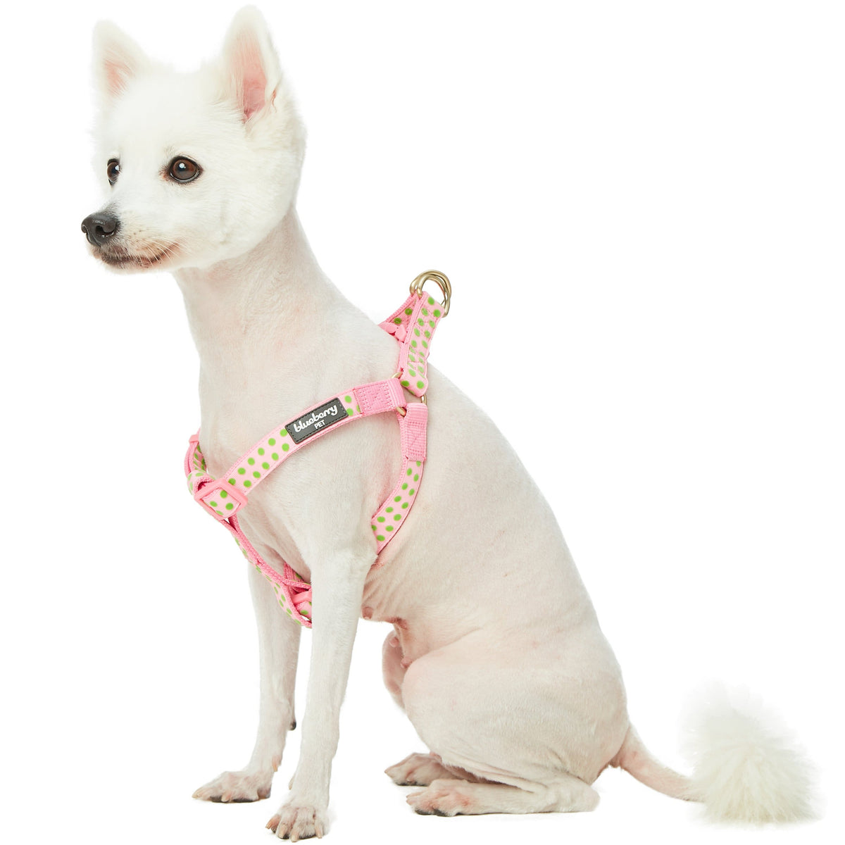 Red polka fashion dot dog harness