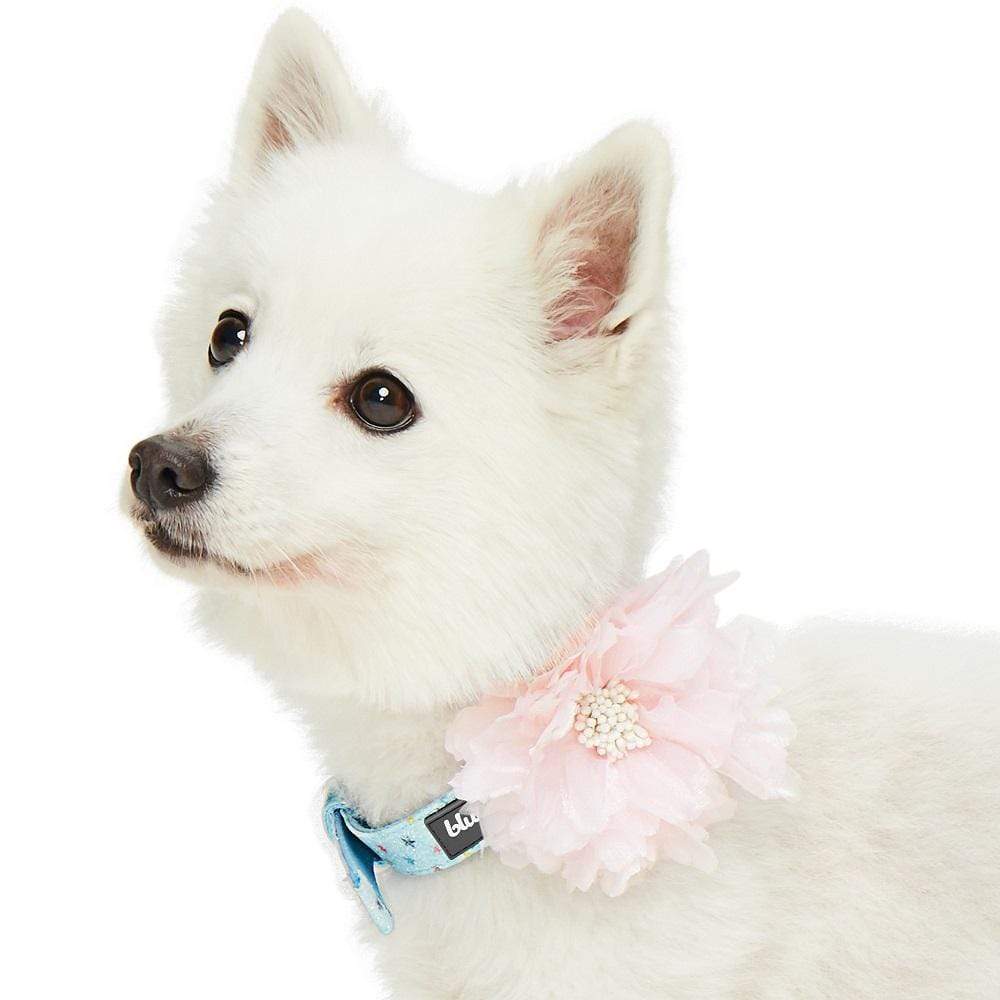 Blueberry Pet The Most Coveted Holo Glitter Dog Collar with Flower