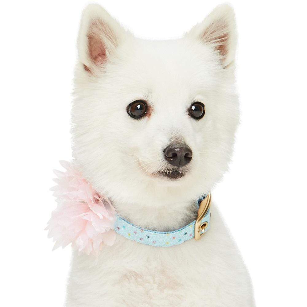 Blue Glitter Dog Collar-Bloomingtails Dog Boutique