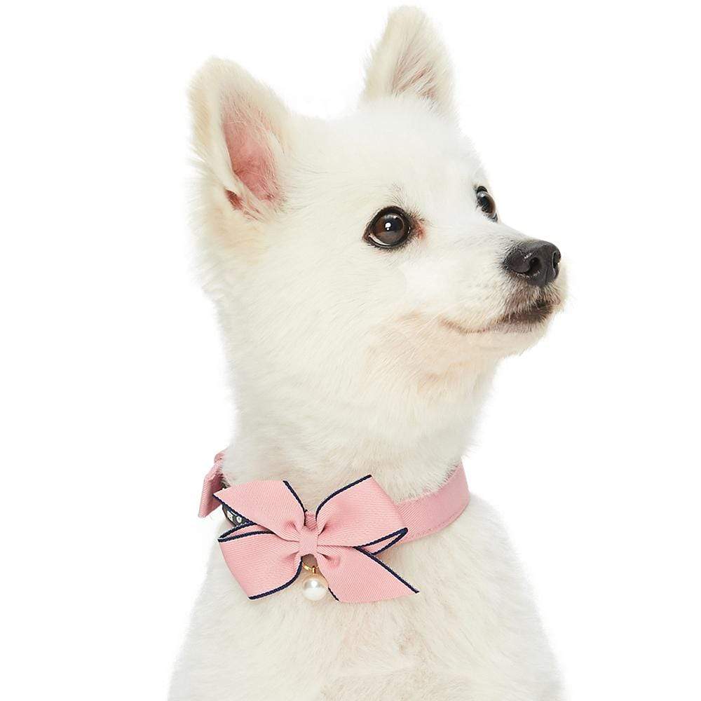 Cute Soft Girl Dog Collar With Bow, Bowtie Dog Collar For Boy Dog