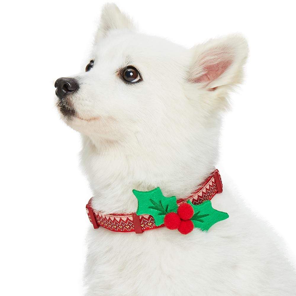 Christmas dog outlet leash