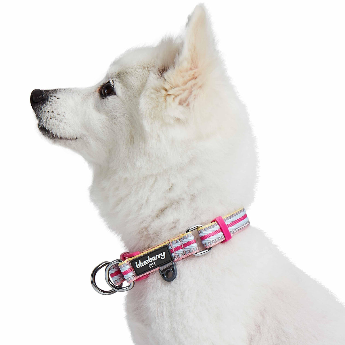 Wholesale Wholesale Custom No Pull Nylon Pet Accessories Metal Buckle Puppy  Collars Designer Dog Collar And Leash Set From m.