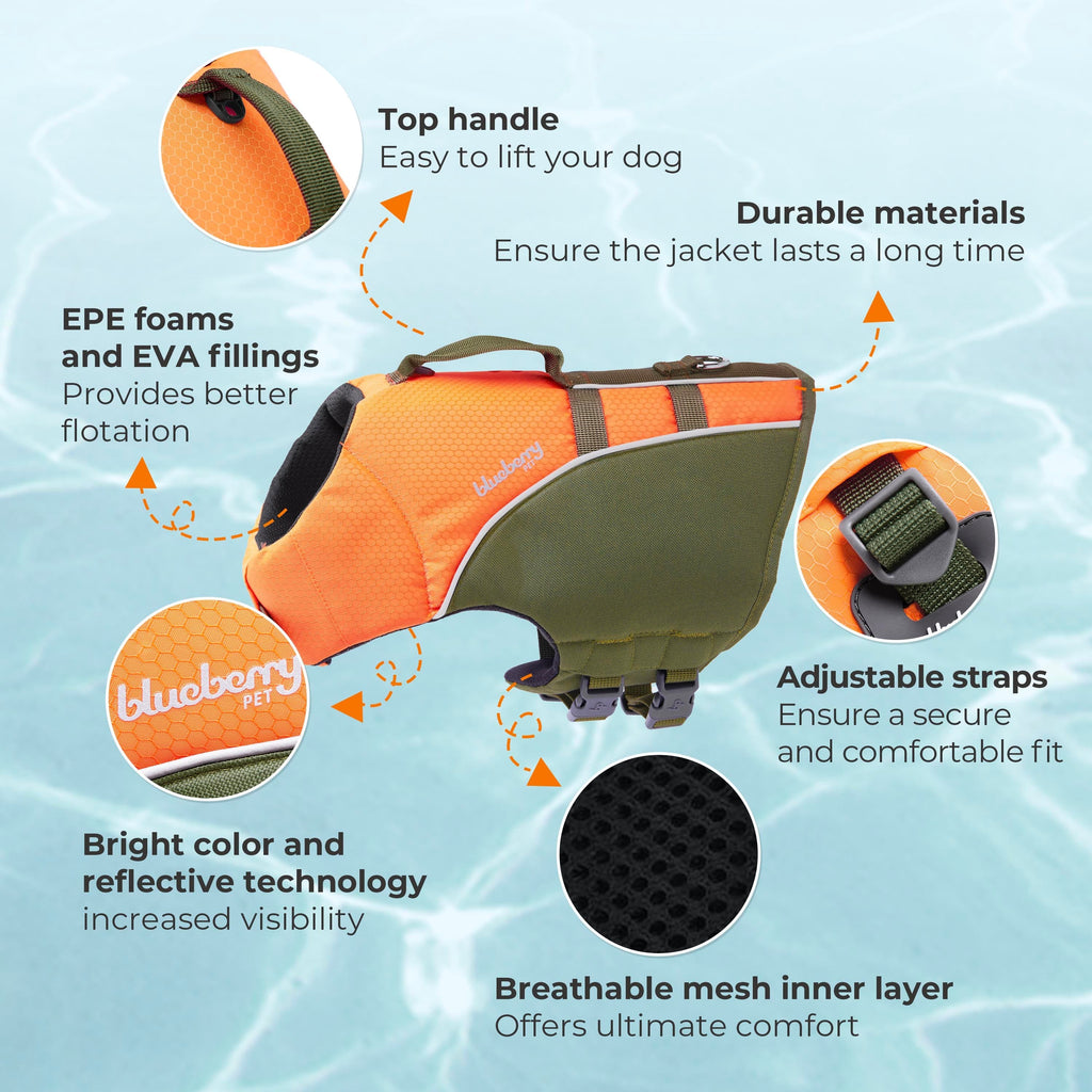 Keep Your Pup Safe In The Water With A Dog Life Jacket #ChewyInfluencer -  My GBGV Life