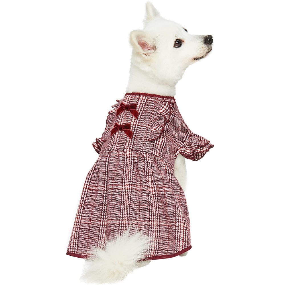 Dog Dress DOGS & CATS & CO. Dress for All Dog Dress Burgundy Red / 10"