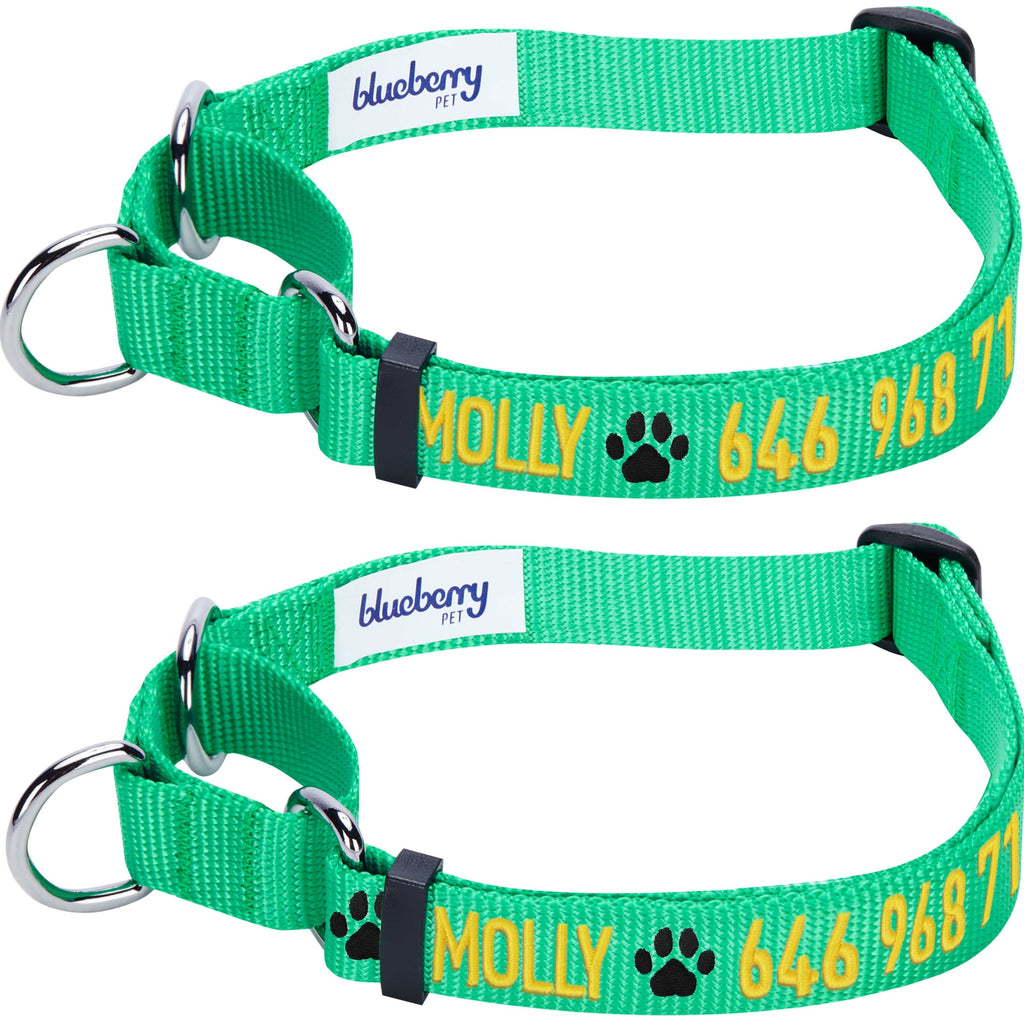 Martingale personalized 2024 dog collars