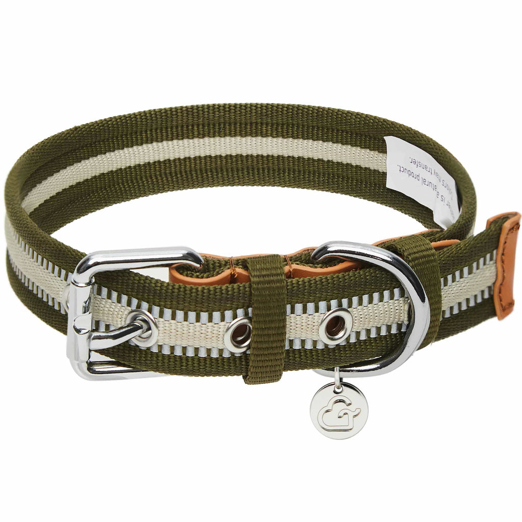 Dog Collar DOGS & CATS & CO. 3M Reflective Striped Full Grain Leather & Polyester Dog Collar Dark Olive / Small