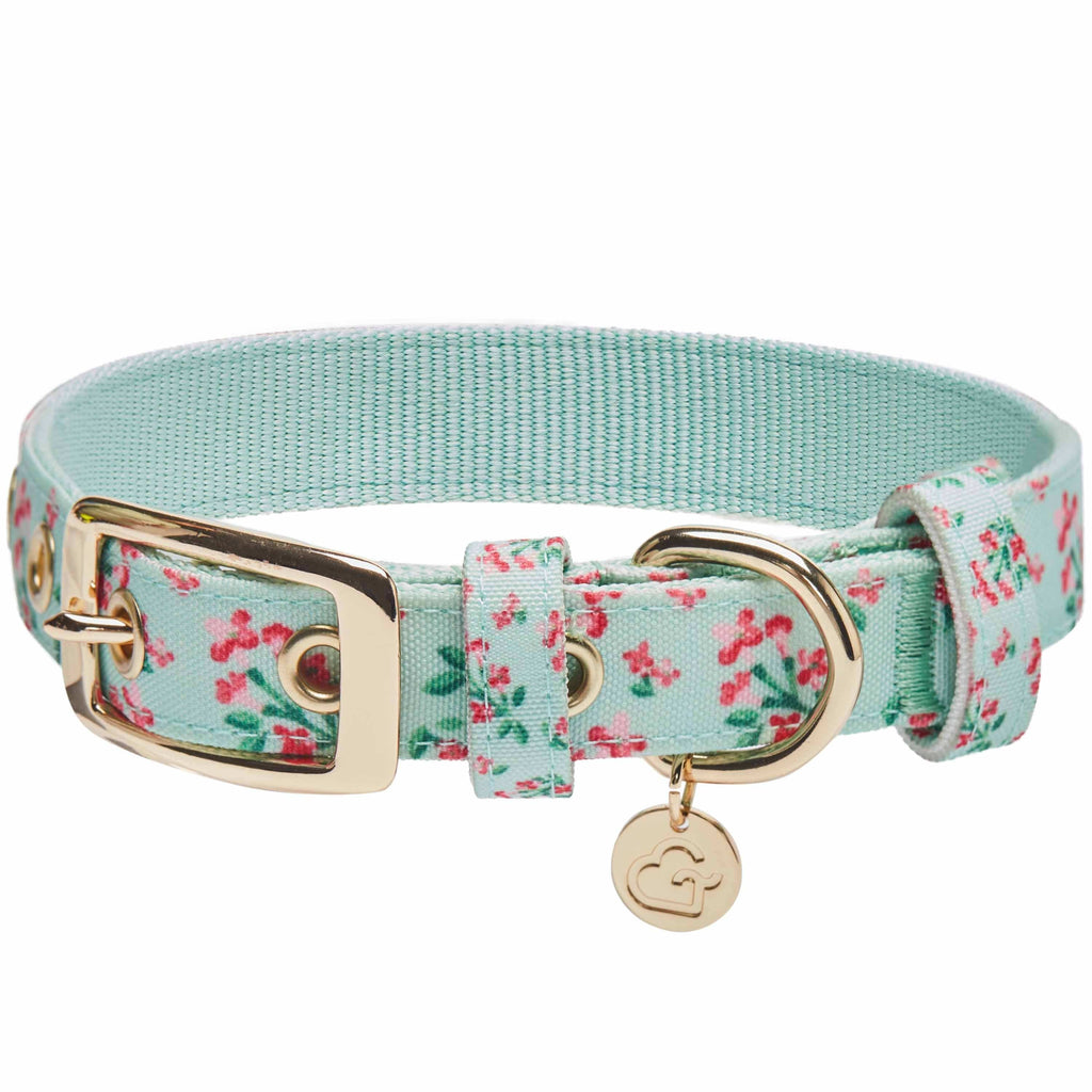 Dog Collar DOGS & CATS & CO. Flower Power Canvas Dog Collar Pastel Green / Small