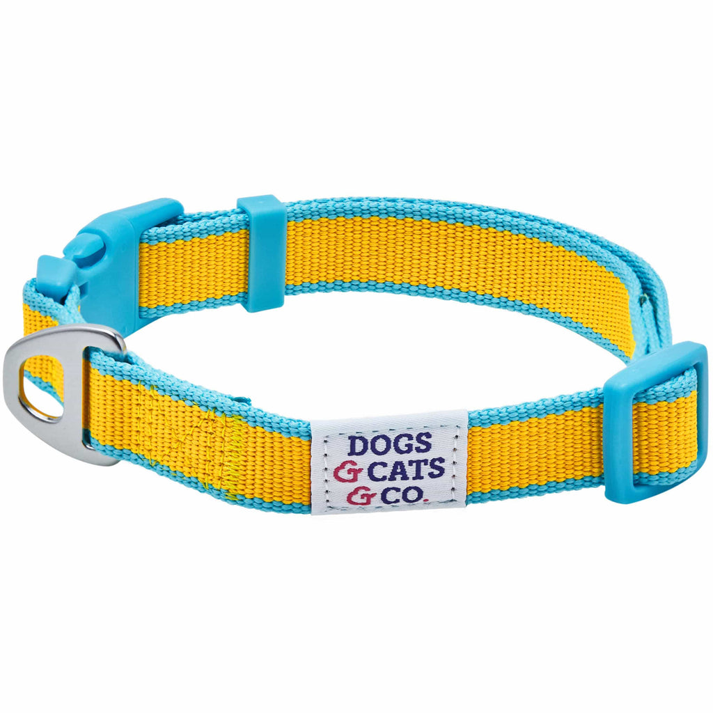 Dog Collar DOGS & CATS & CO. Contrast Striped Dog Collar Solar Yellow and Capri Blue / Small