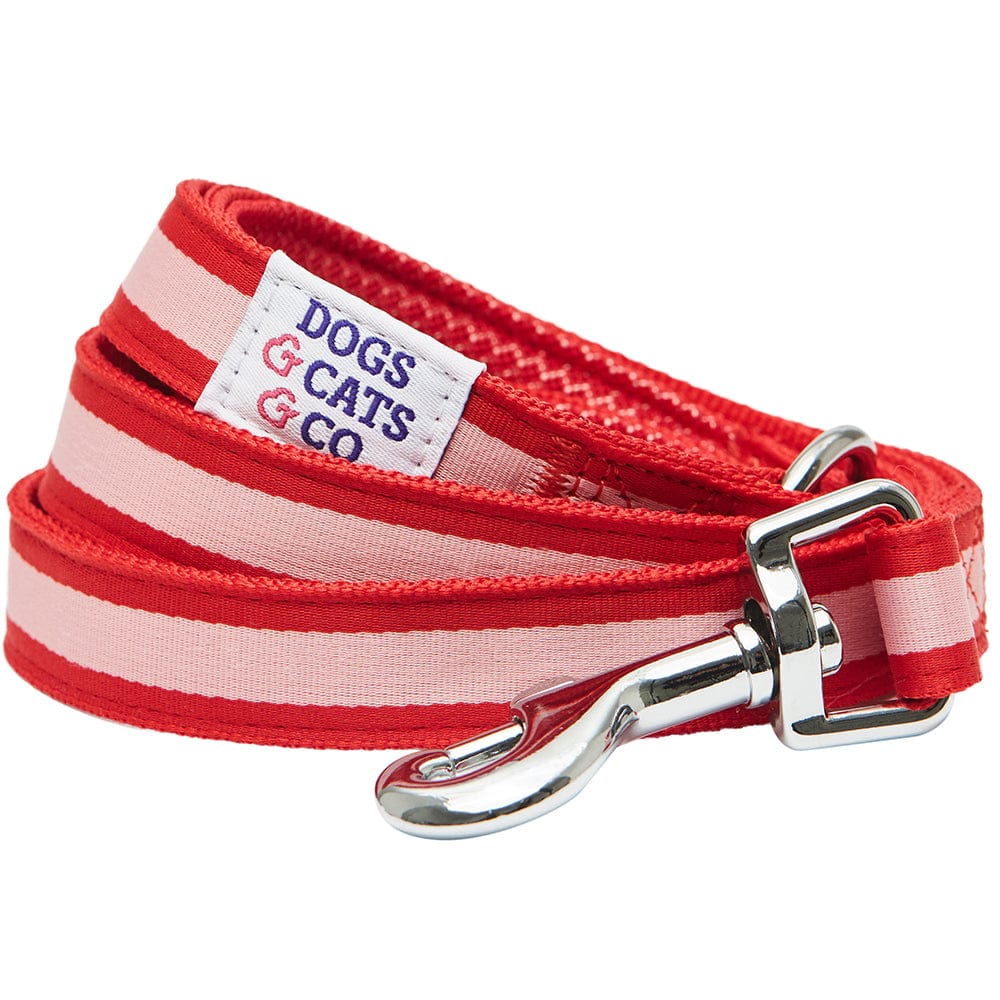 Dog Leash DOGS & CATS & CO. Comfort Of Class Dog Leash Red & Pink / Small