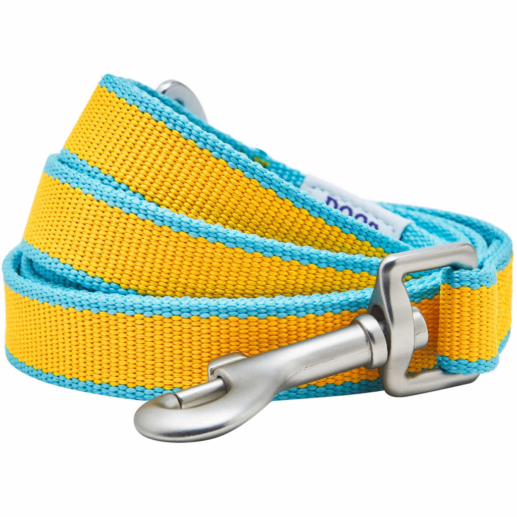 Dog Leash DOGS & CATS & CO. Contrast Striped Dog Leash Solar Yellow and Capri Blue / Small