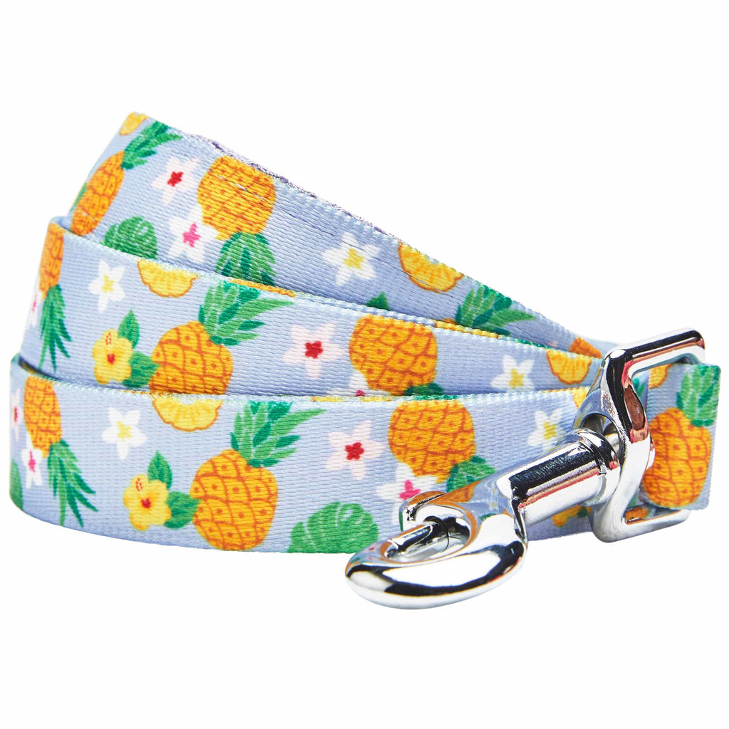 Petsmart pineapple outlet collar