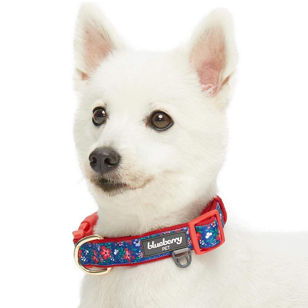 Floral Prints Neoprene Padded Dog Collar