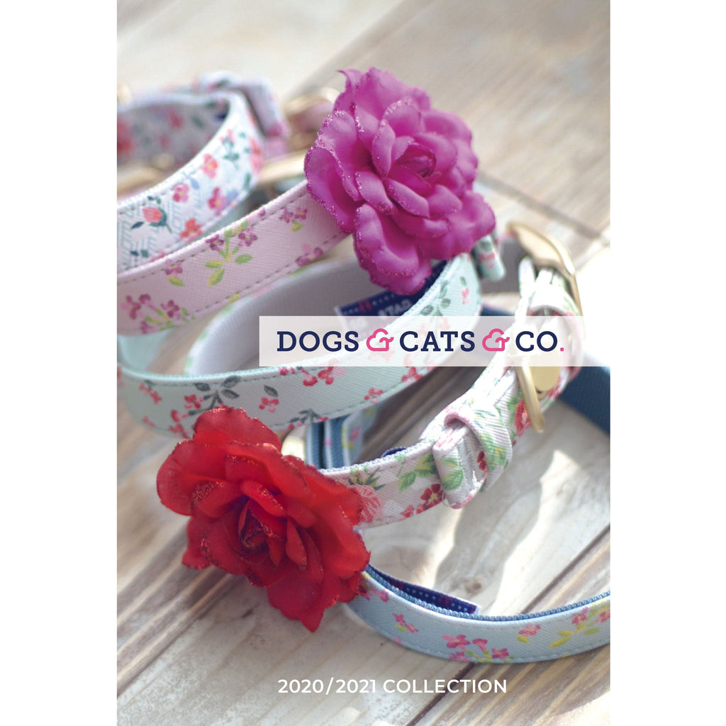 Catalog Dogs & Cats & Co. Dogs & Cats & Co. 46 Pages Double-Sided Glossy Paper Printed Catalog 5 x 8 in