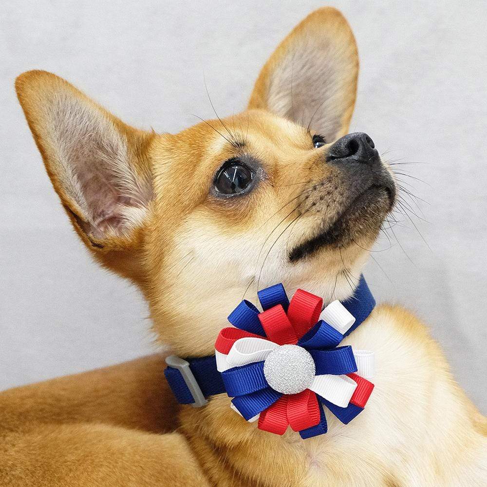 Blueberry Pet American Flag Bowtie Dog Collar