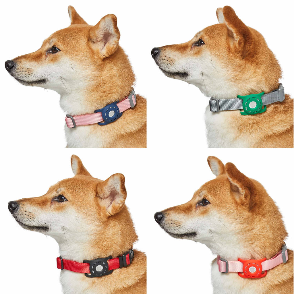 Green Geometric Designer Dog Collar 'YOGI' (5/8 and 3/4 ONLY)