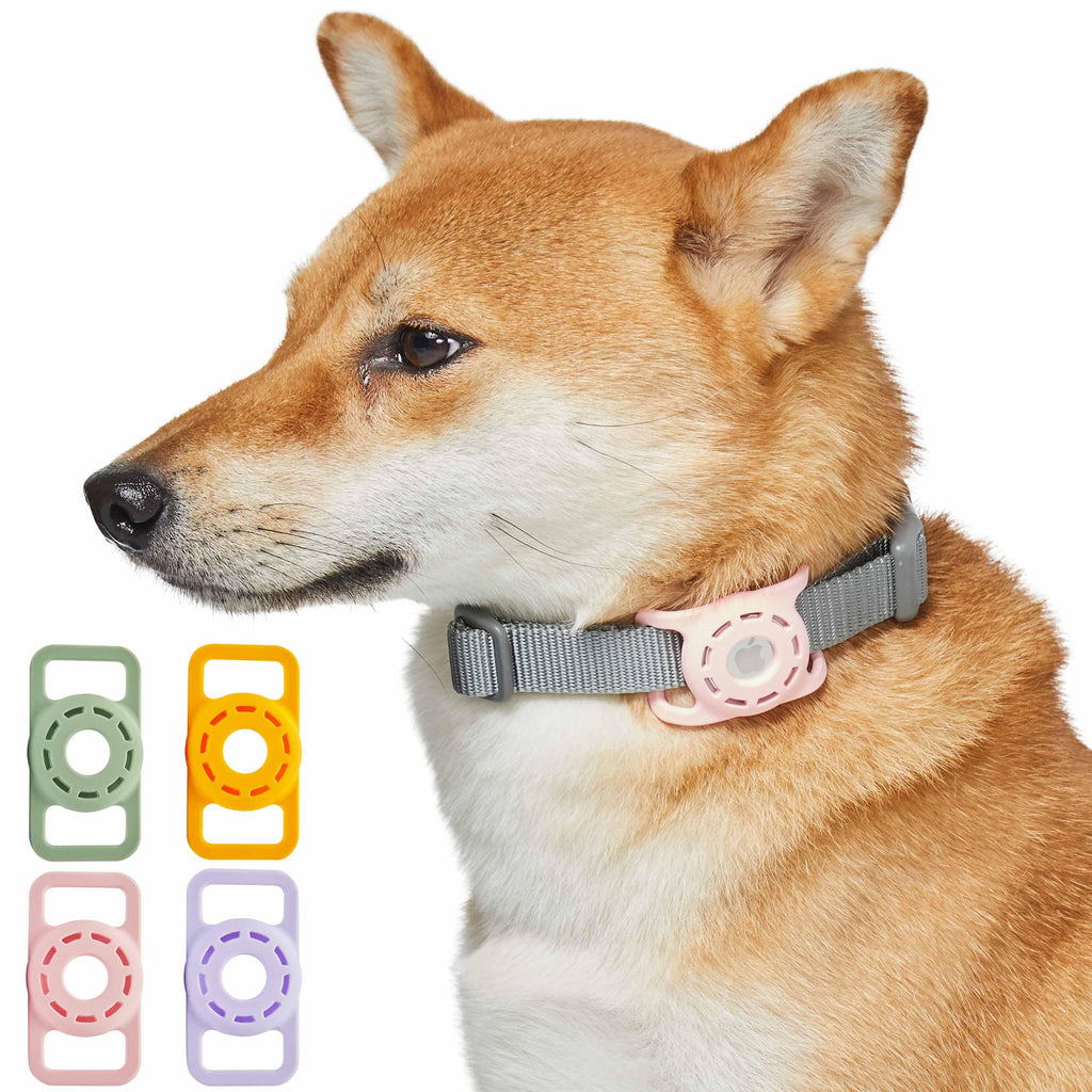  Leather Dog Collar,Extra Small Dog Collar,Halloween