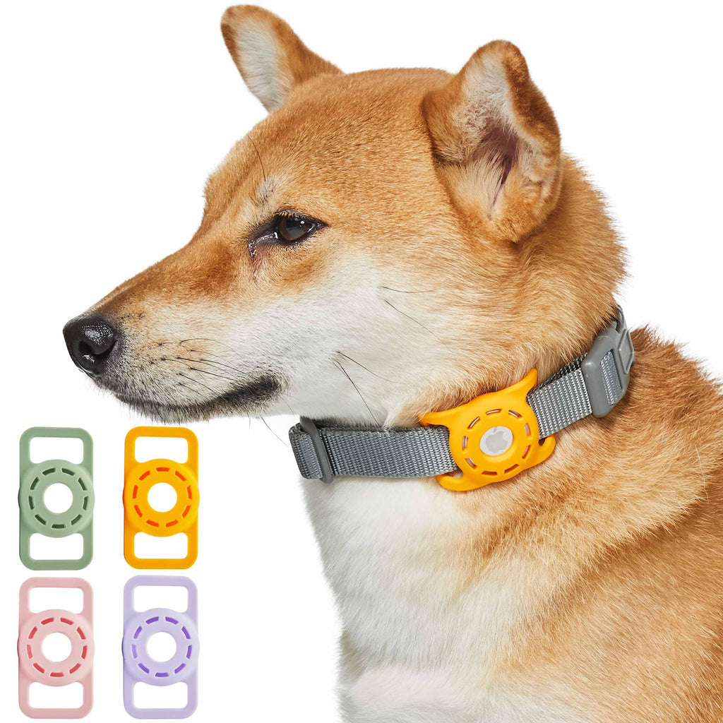 The Best AirTag Collars and Accessories for Pet Tracking