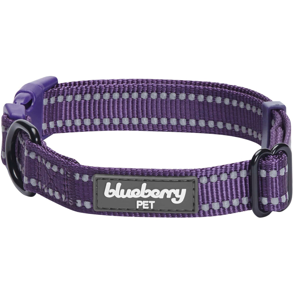 Dark blue dog store collar