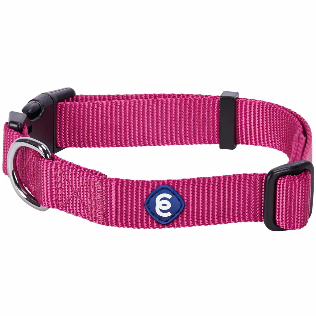 Blueberry classic nylon dog hot sale collar