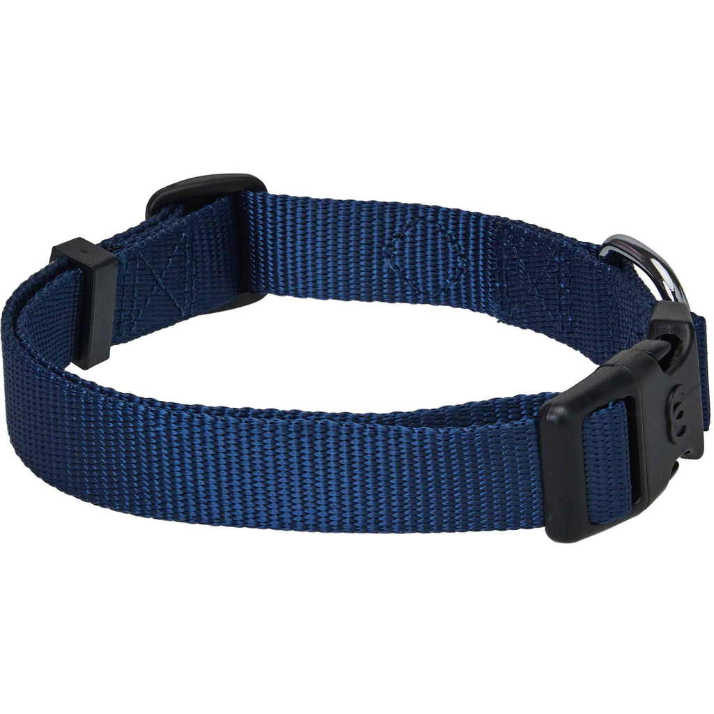 Buy Blueberry Pet 32 Colors Classic Dog Collar, Medium Turquoise, Small,  Neck 12-16, Nylon Collars for Dogs Online at Low Prices in India 