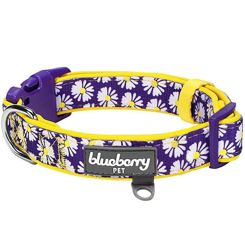 Blueberry Pet Floral Lace Dog Collar, Purple, Medium