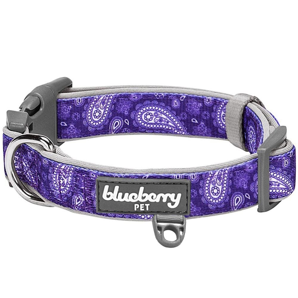 Blueberry Pet Paisley Print Padded Dog Collar Emerald Green Small