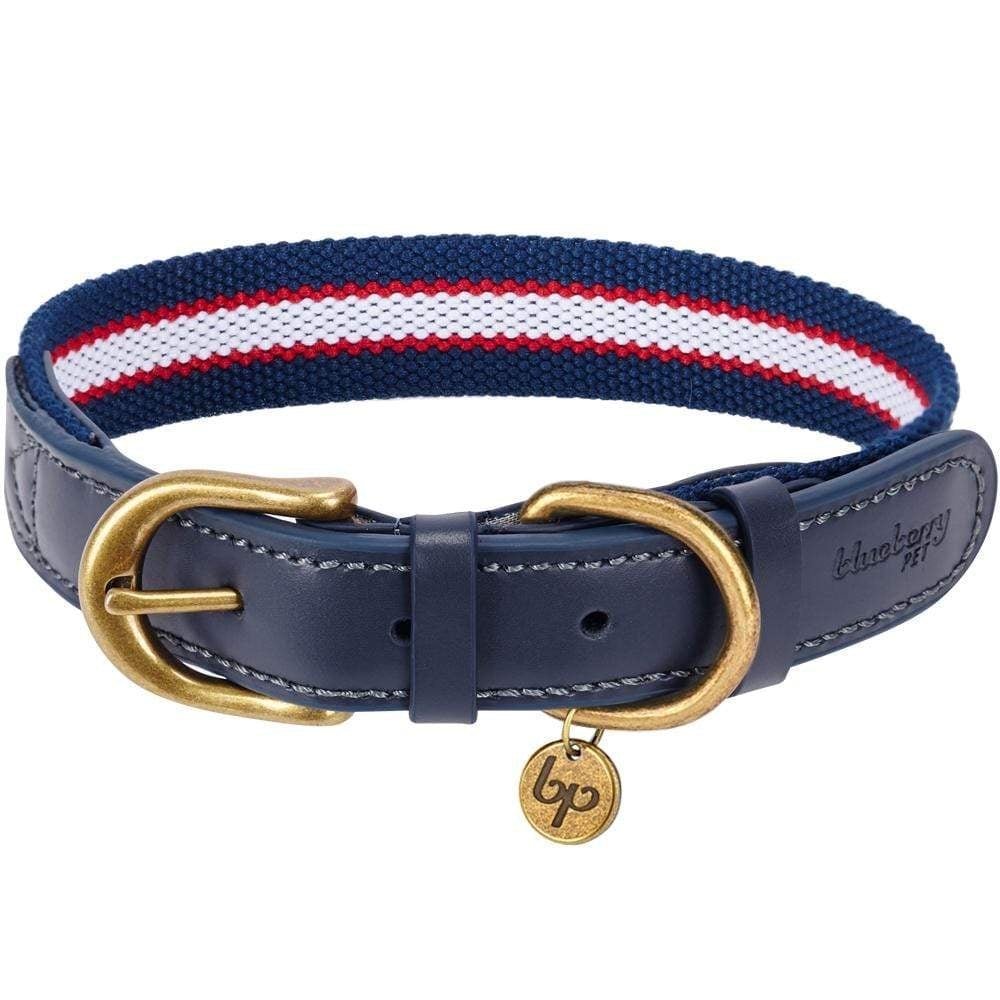 Navy blue sale leather dog collar