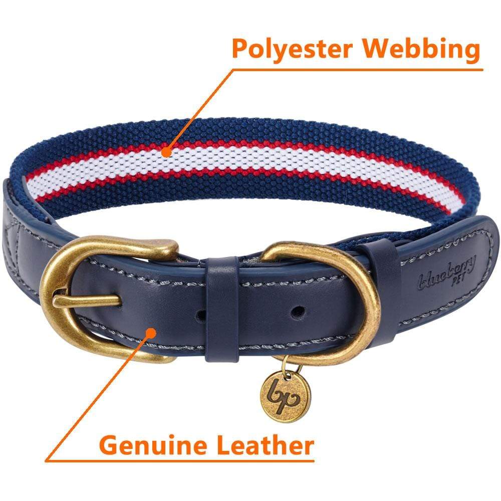 Full Grain Leather & Polyester Dog Collar