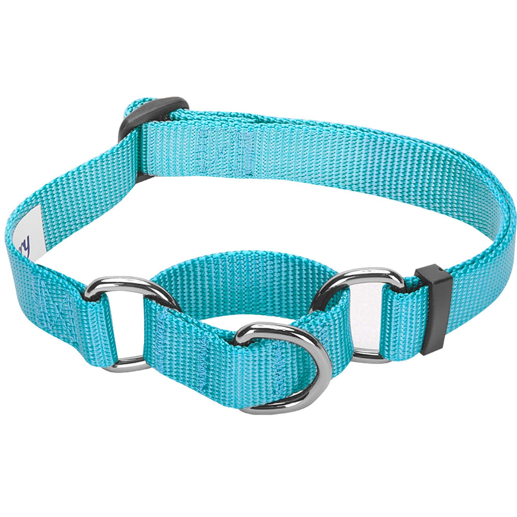 Royal Blue Large Martingale Heavyduty Nylon Dog Collar