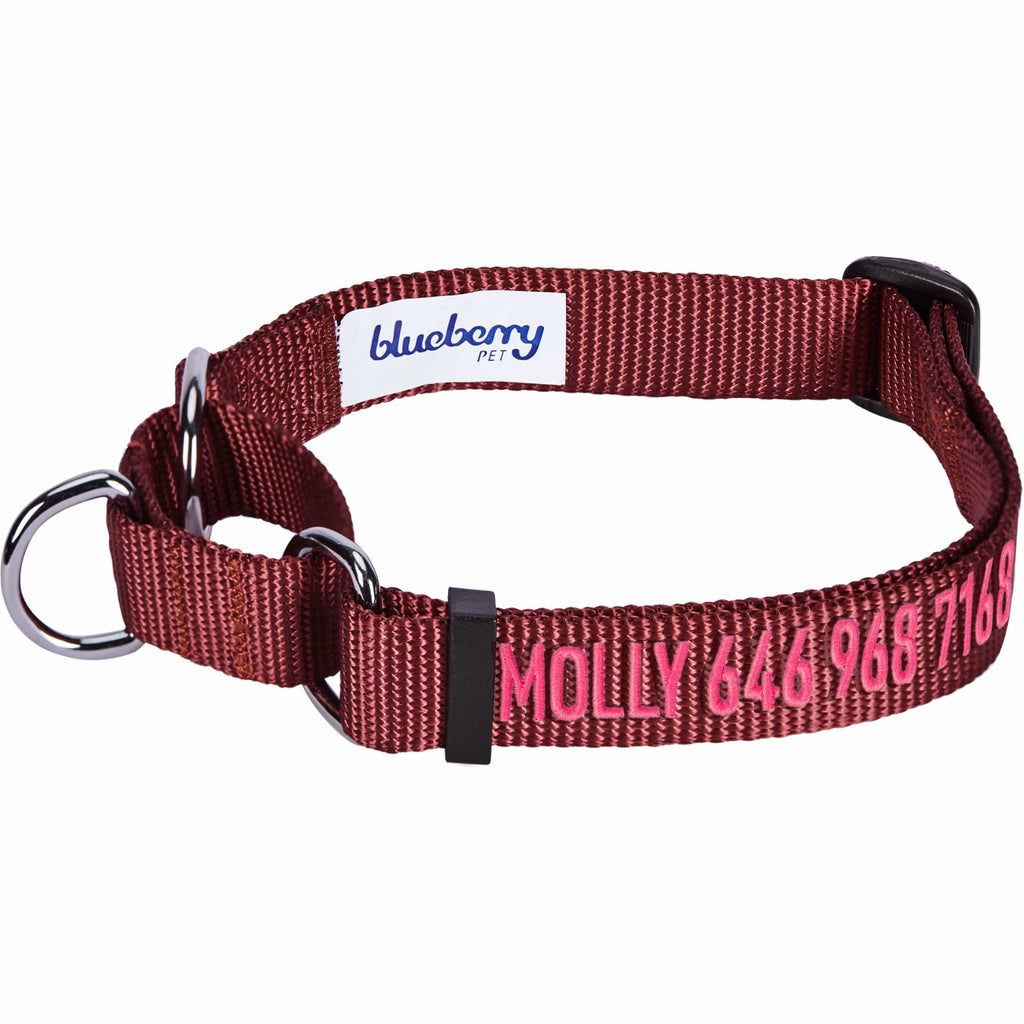 Personalized buckle martingale dog collar hotsell