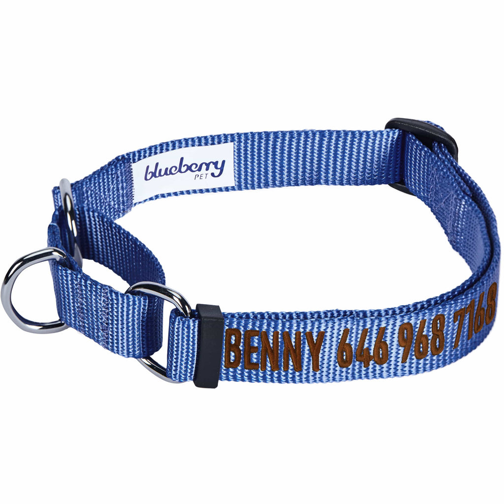 Blueberry Pet Diagonal Striped Slip Lead Rope Leash with Neoprene Handle, 6 ft Lavender / 6