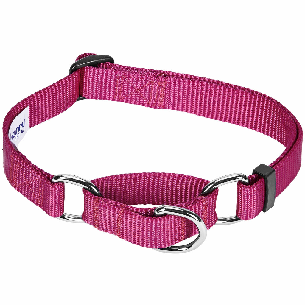 Pet valu martingale collar best sale