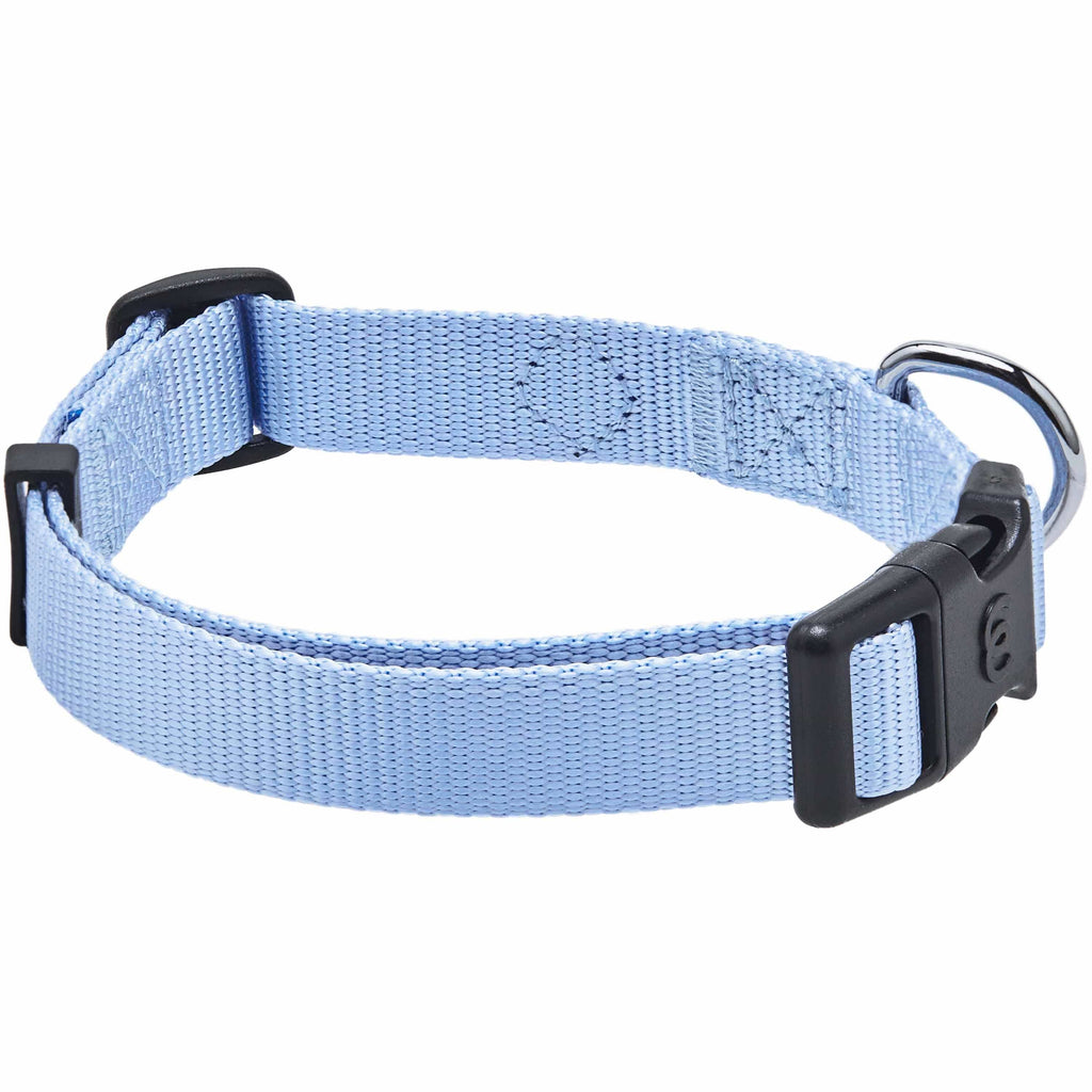 Buy Blueberry Pet 32 Colors Classic Dog Collar, Medium Turquoise, Small,  Neck 12-16, Nylon Collars for Dogs Online at Low Prices in India 