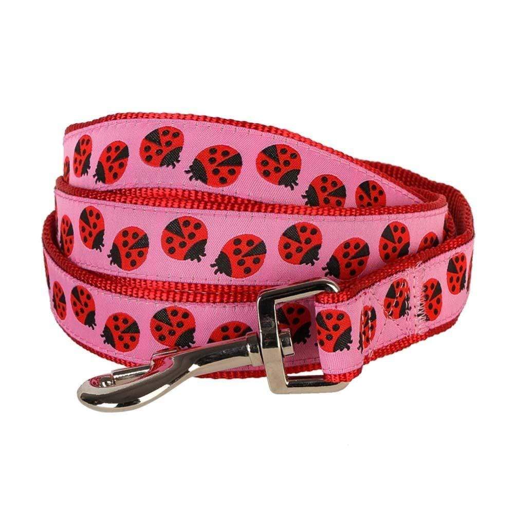 Ladybug shop dog collar