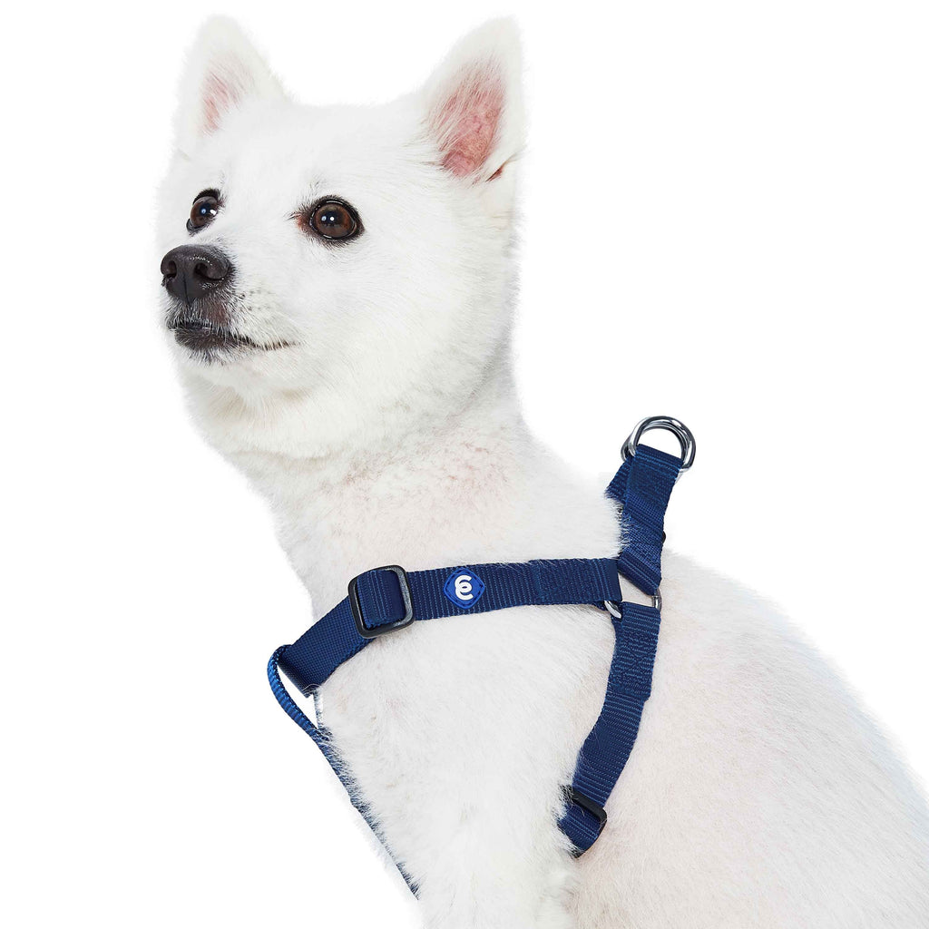 Buy Native Pup Basic Nylon Dog Collar, Adjustable for Small