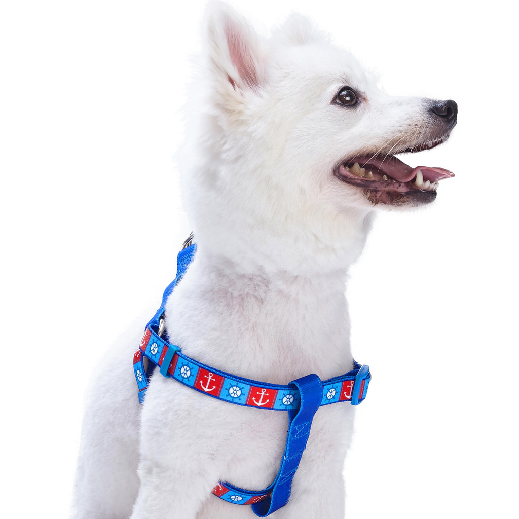 Sailboats Dog Collar