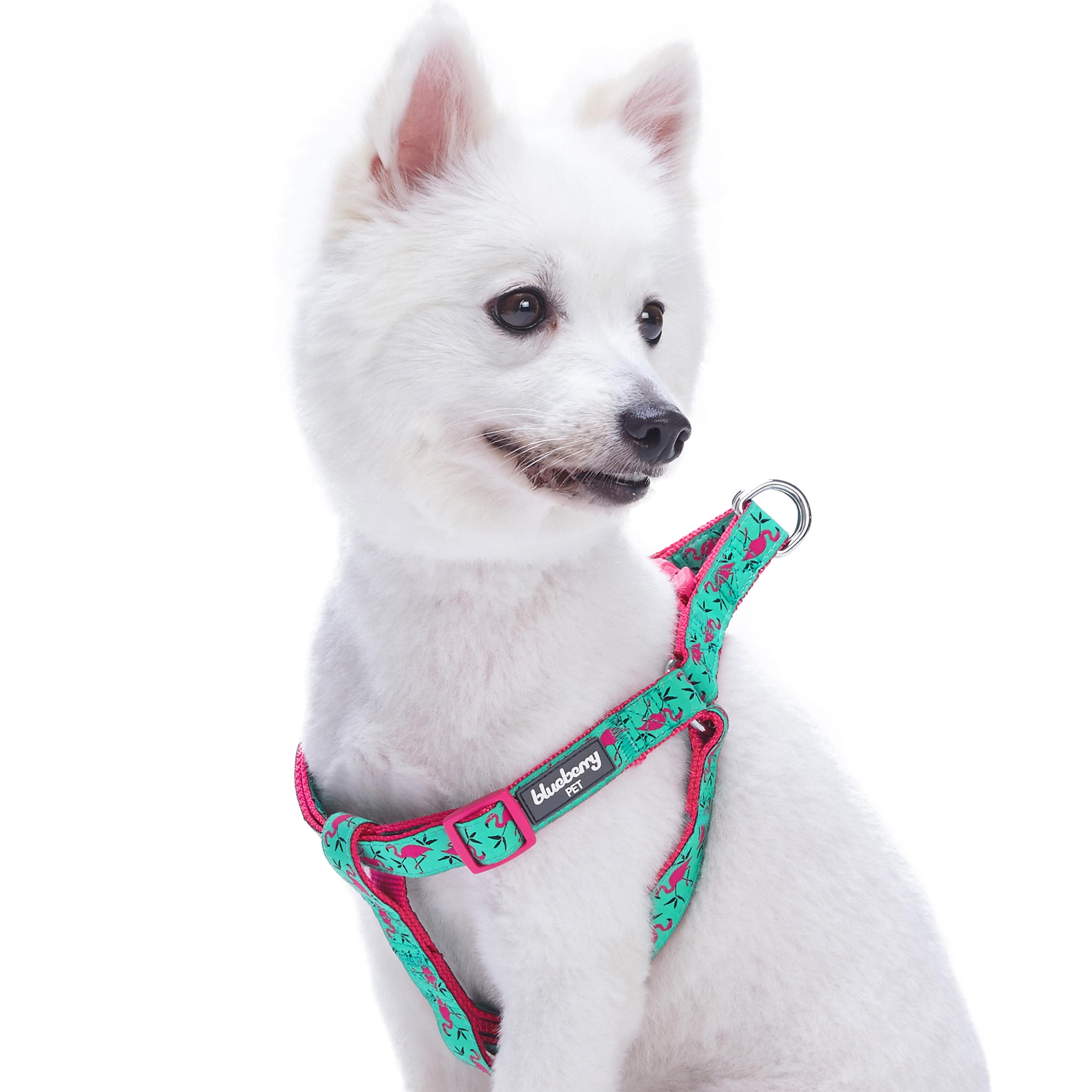 Blueberry Pet Step-In Ladybug Designer Dog Harness - Chest Girth 16.5 - 21.5, Small
