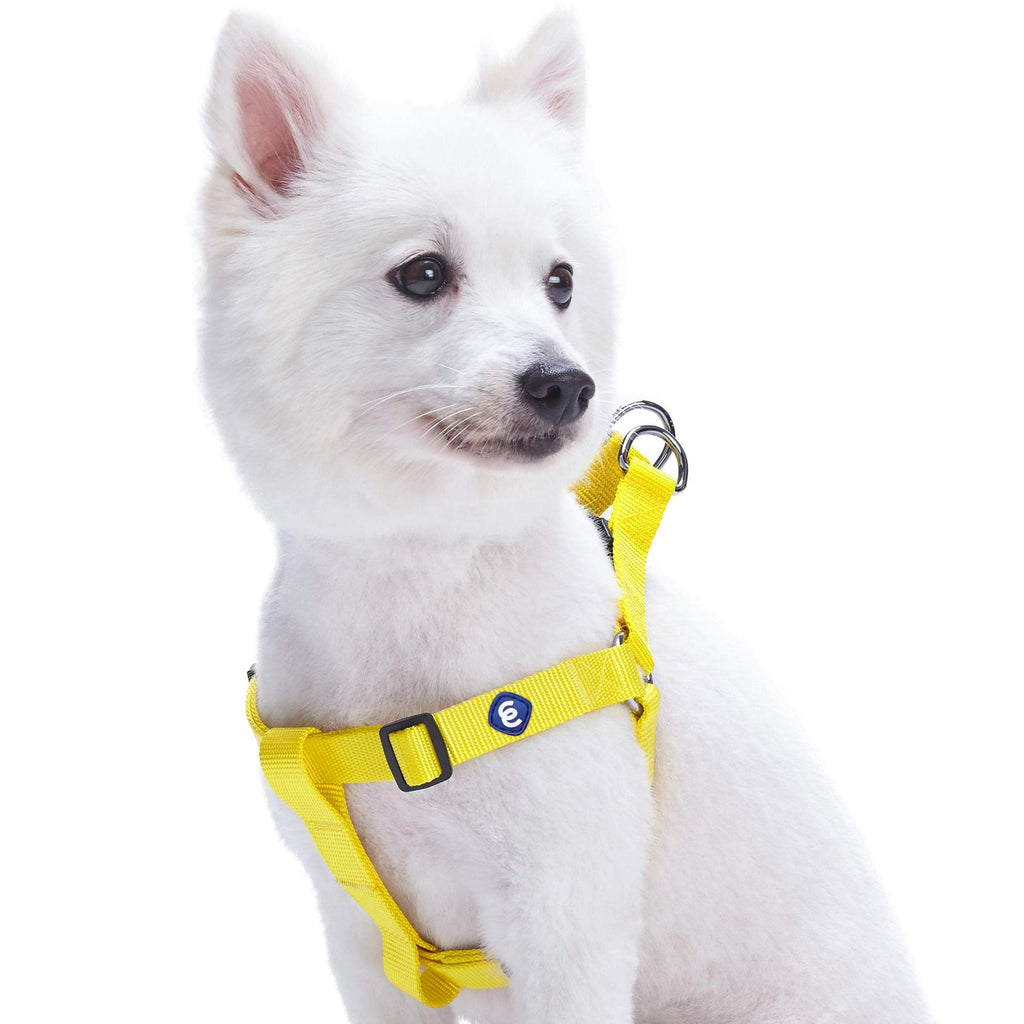 Yellow dog harness sales and leash