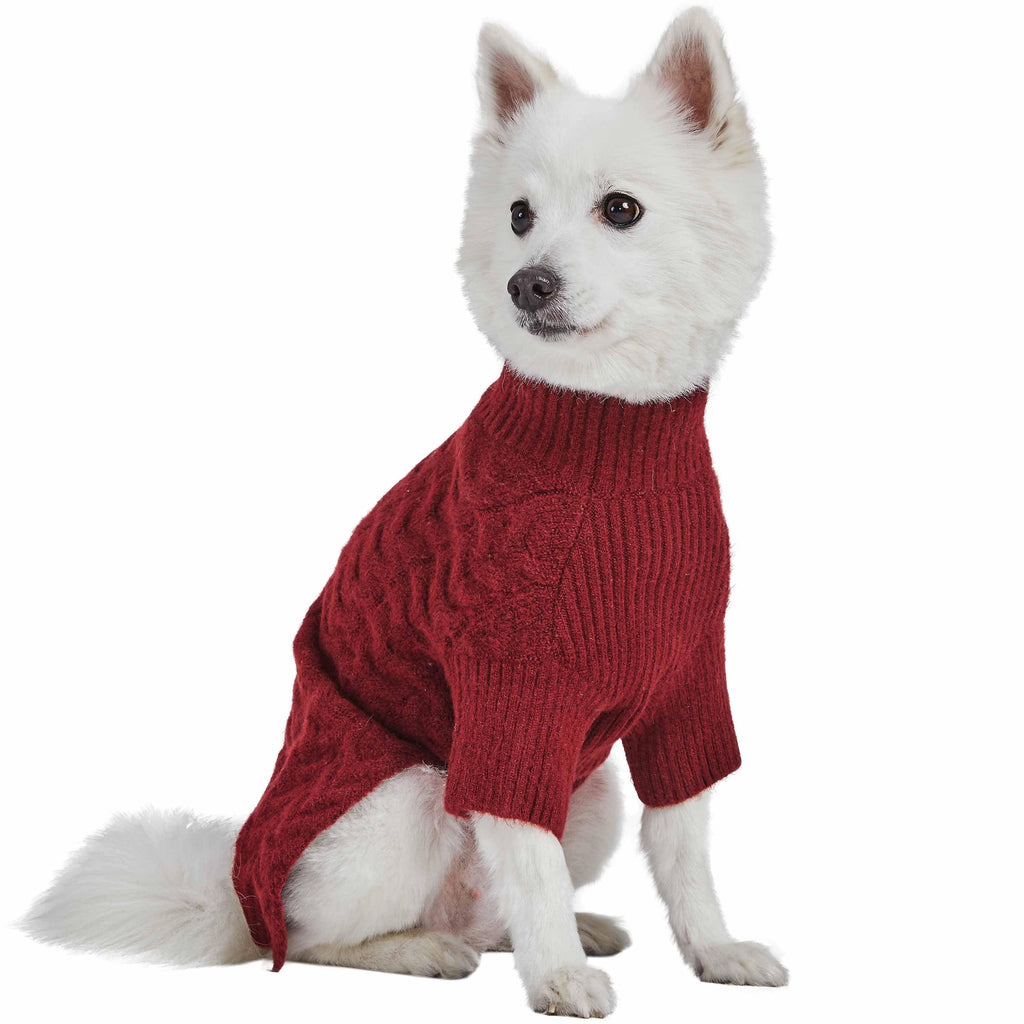 Blueberry pet fashion sweaters