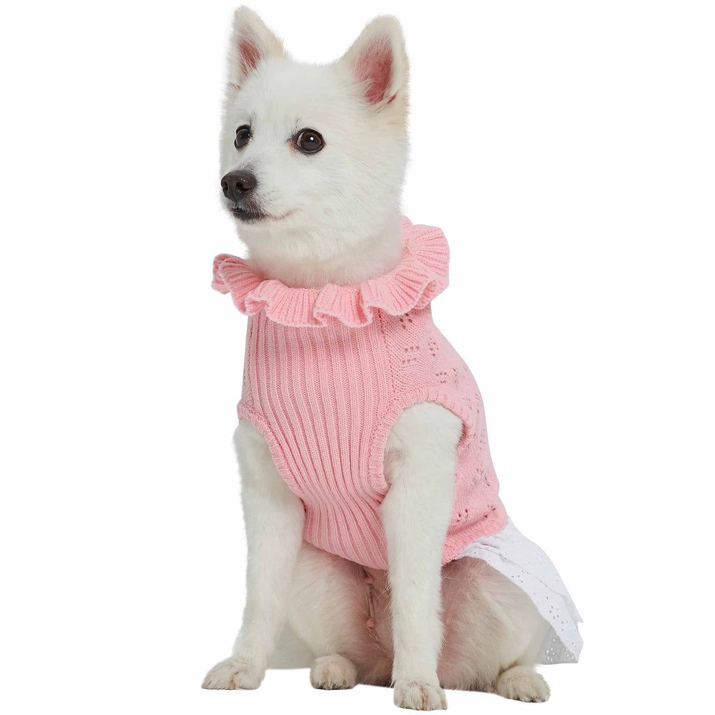 Princess best sale dog sweater