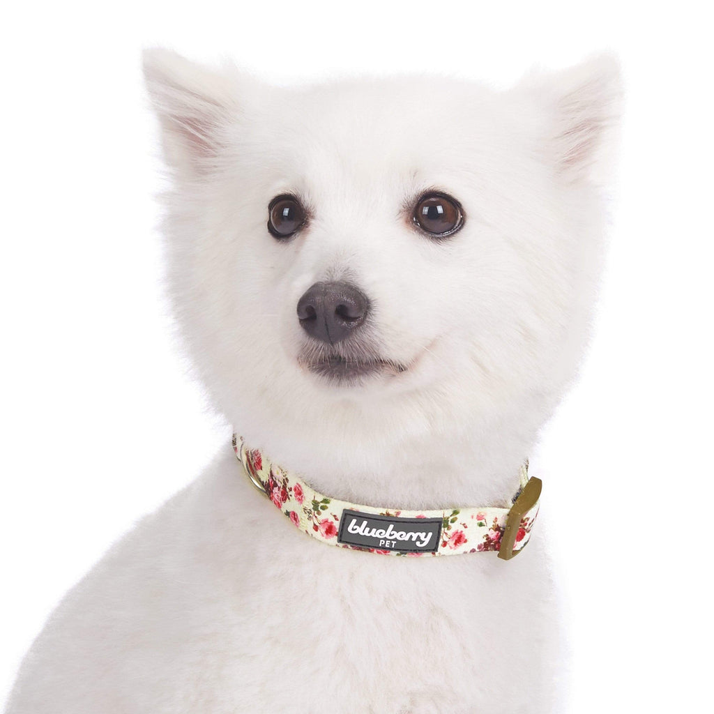 Blueberry pet spring dog hot sale collar