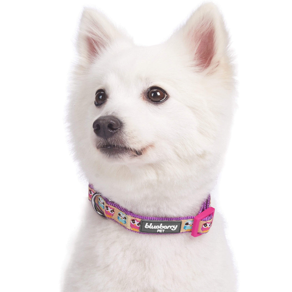 Blueberry pet retailer collars