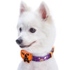 Dog Collar Blueberry Pet Halloween Dog Collar Pumpkin Skull Bats Spiders Dog Collars Accessory for Puppy S M L Pets Purple Orange Deserted Castle / Small