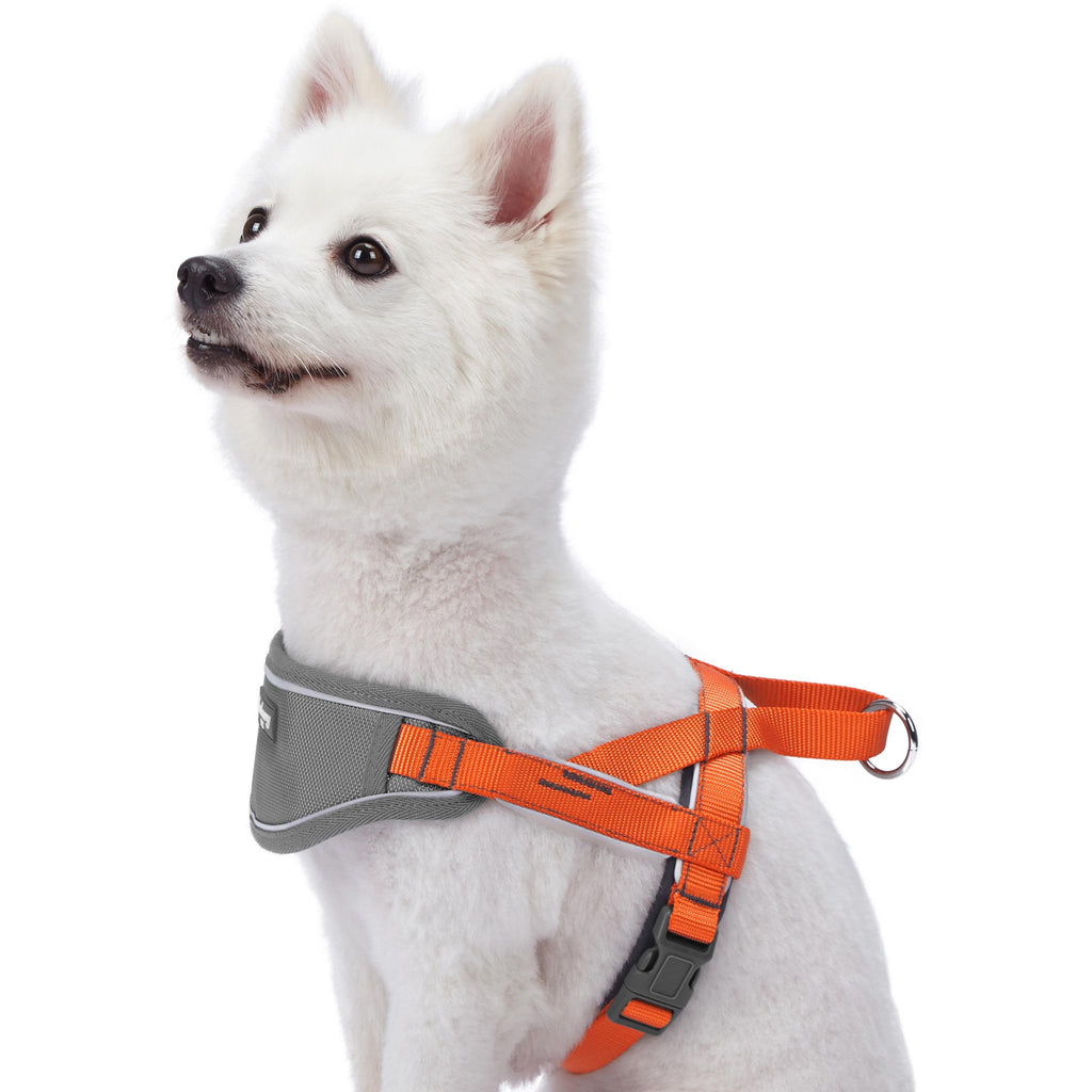 Blueberry pet mesh padded best sale dog harness