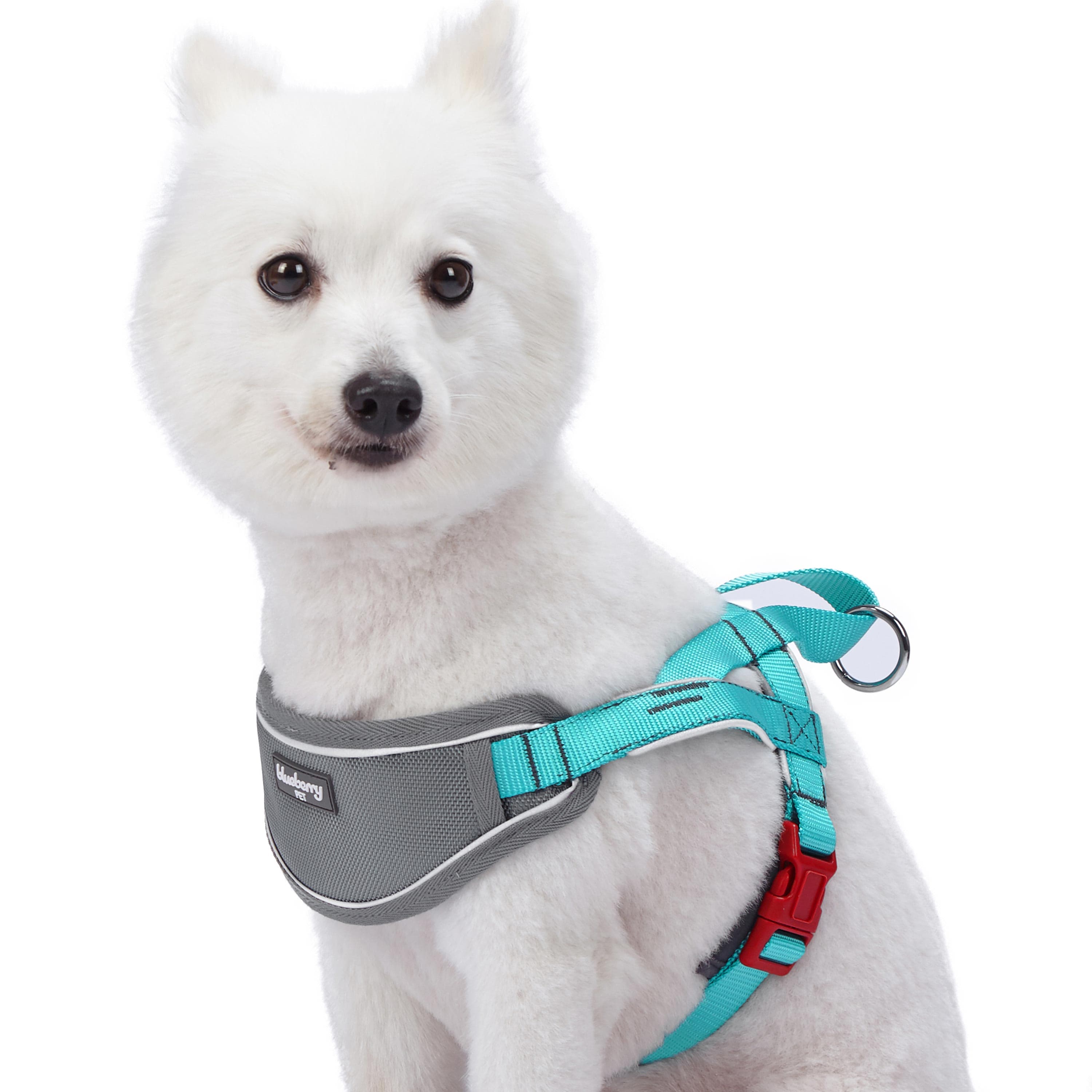  YIMEIS Dog Harness and Leash Set, No Pull Soft Mesh Pet  Harness, Reflective Adjustable Puppy Vest for Small Medium Large Dogs, Cats  (Tiffany Blue, Small (Pack of 1) : Pet Supplies